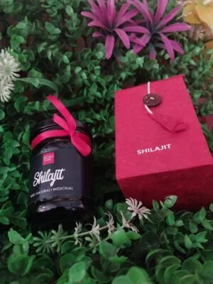 Shilajit (100gm)
